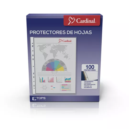 Basics Protector de hojas, resistente, antirreflejos, paquete de  100, transparente